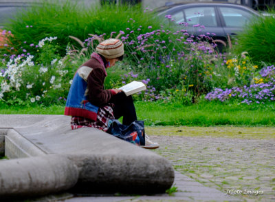 Quiet Read in the Park