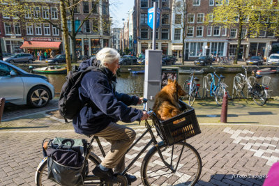 Nice Ride in Amsterdam