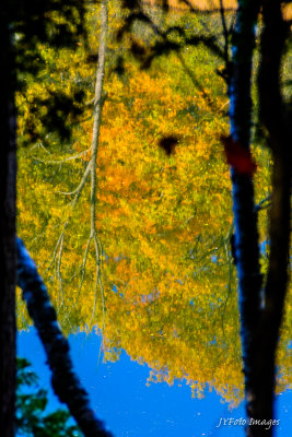 Reflection in the Winooski River