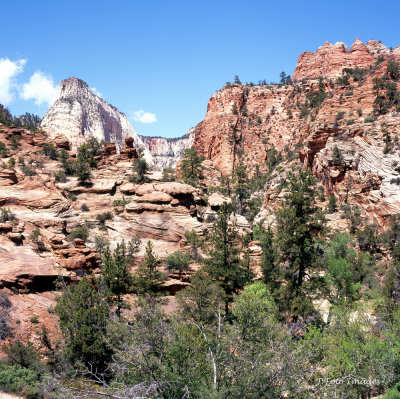 Zion National Park, Utah