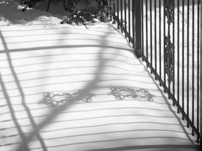 Fence Shadows looking East-1090218.jpg