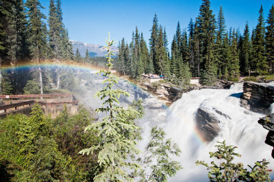 Athabasca Falls with Rainbow