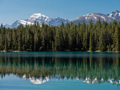 Fir Trees n Mountain Reflect