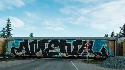 Wild Graffiti Alberta