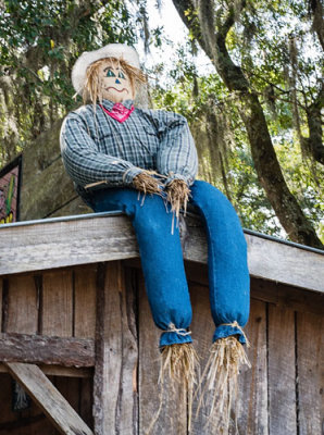 Scare Crow on Shed Roof