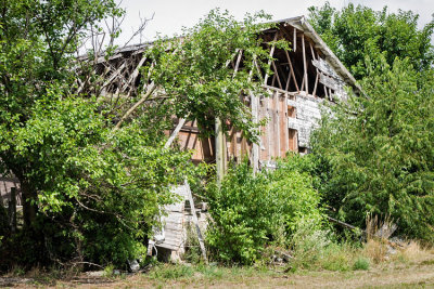 Barn Falling Apart