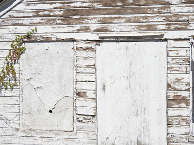 Weathered Siding