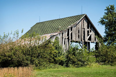 Barn Falling Apart