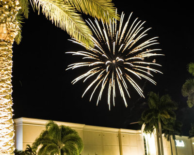 Fireworks at Palm Tree