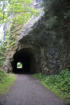 Only tunnel on the trail