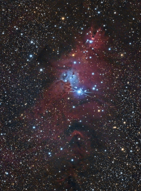 Christmas Tree cluster and Cone Nebula