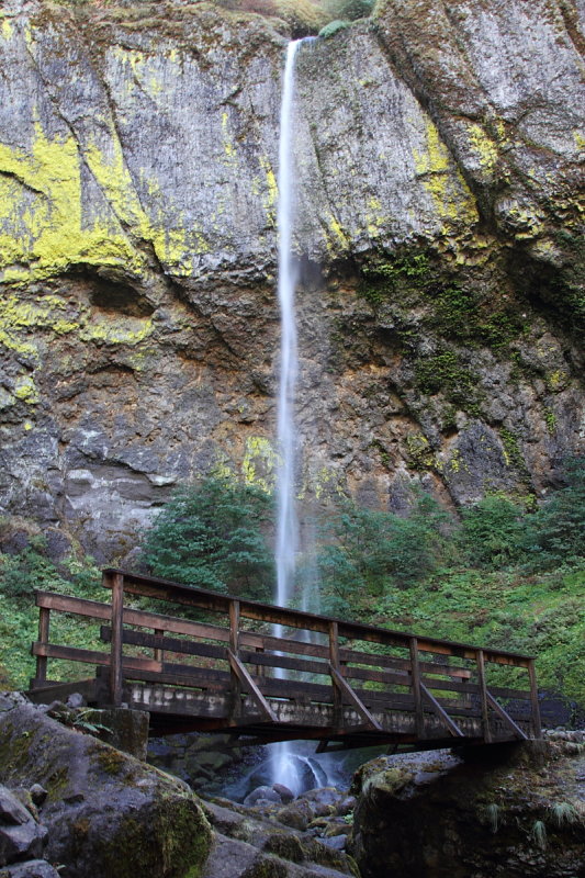Elowah falls