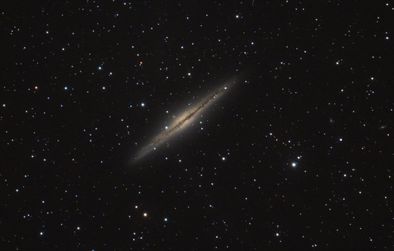 NGC 891- Caldwell 23