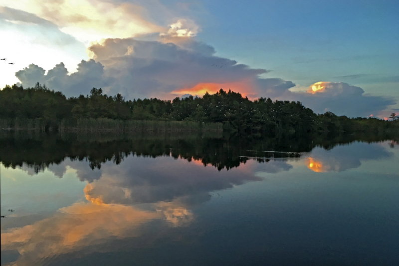 Six mile slough