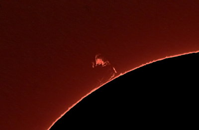 sun8-4pi.JPG