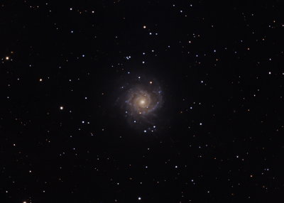 g9/41/749241/3/164604219.1chqeOf7.jpg