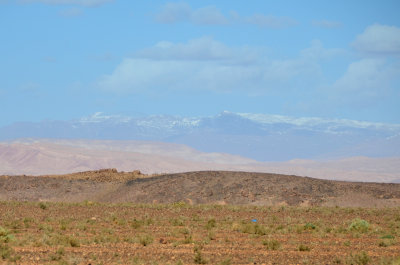 MOR_221112_037 copy.jpg