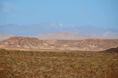 MOR_221112_038 copy.jpg