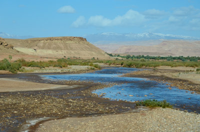 MOR_221112_049 copy.jpg