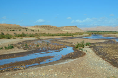 MOR_221112_050 copy.jpg