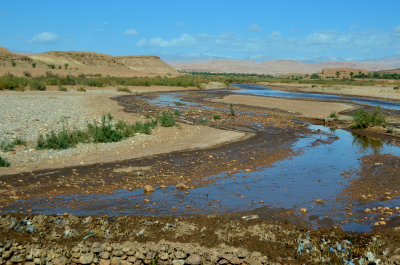 MOR_221112_051 copy.jpg