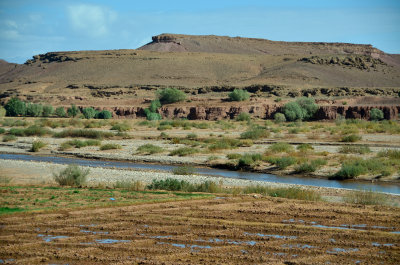 MOR_221112_057 copy.jpg