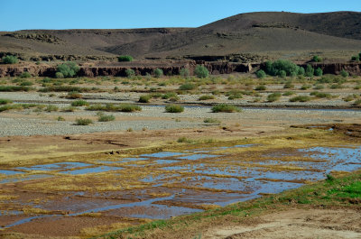MOR_221112_060 copy.jpg