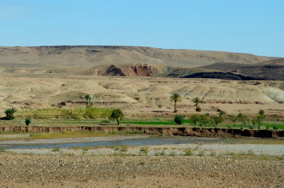 MOR_221112_075 copy.jpg
