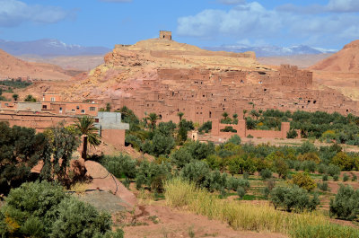 MOR_221112_088 copy.jpg