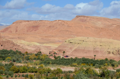 MOR_221112_089 copy.jpg