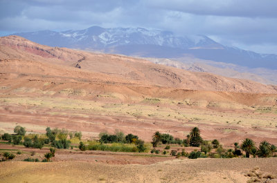 MOR_221112_090 copy.jpg