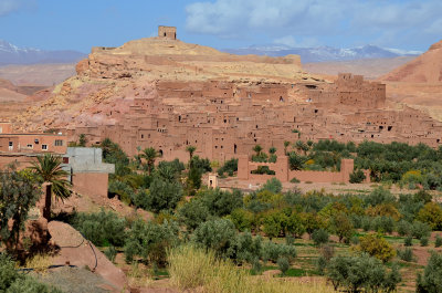 MOR_221112_093 copy.jpg