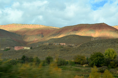 MOR_221112_174 copy.jpg