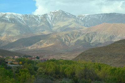 MOR_221112_180 copy.jpg