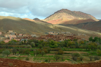 MOR_221112_185 copy.jpg