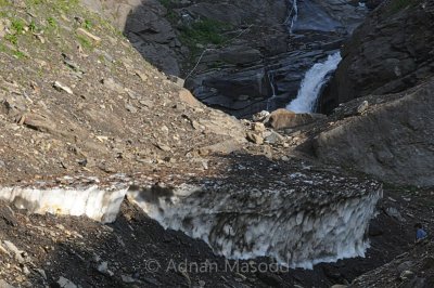 Melting Glaciers.jpg