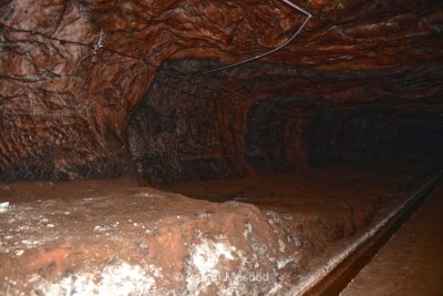 DSC_5960.jpg
