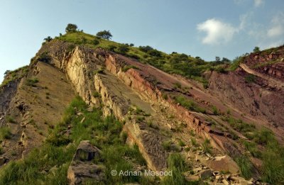 DSC_6064.jpg