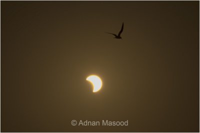 Solar Eclipse 3-Nov-2013.jpg