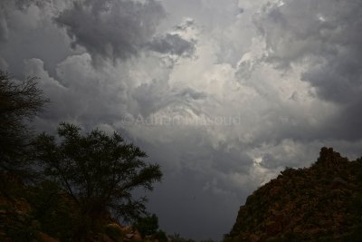 Summer in Wadi Ghazzal, Taif.jpg