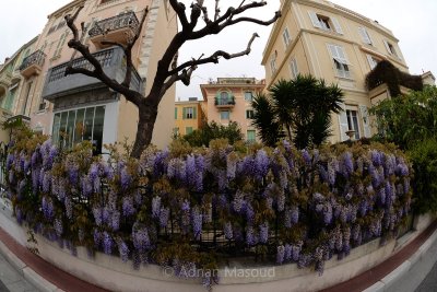 Monaco and Monte Carlo.jpg