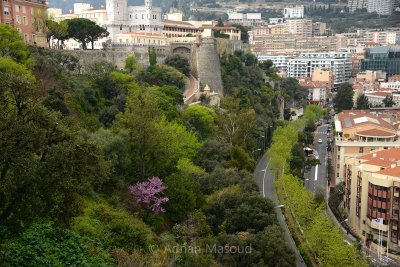 Monaco and Monte Carlo.jpg