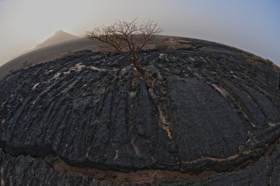 Lava fields around Wa'aba Crater.jpg