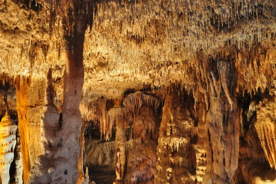 DSC_7635_resize.JPG