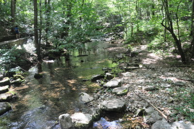 DSC_7644_resize.JPG