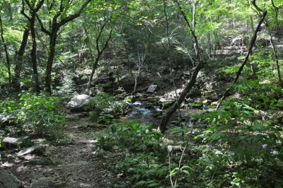 DSC_7647_resize.JPG