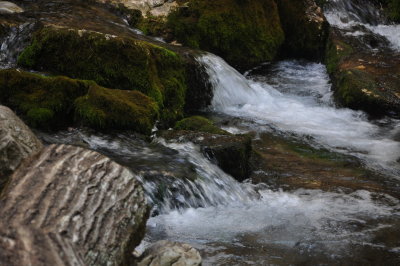 DSC_7664_resize.JPG