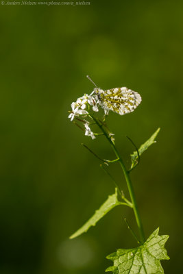 _MG_3184.jpg