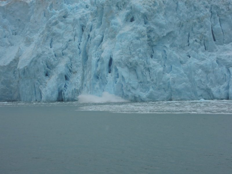 July 13, 2014 - Kenai Fjords 129.JPG
