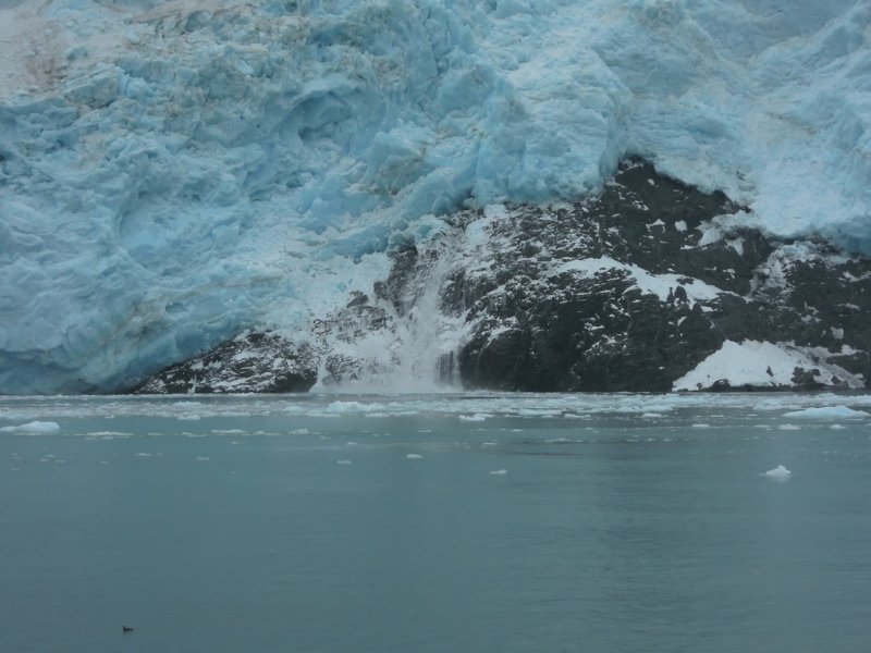 July 13, 2014 - Kenai Fjords 142.JPG
